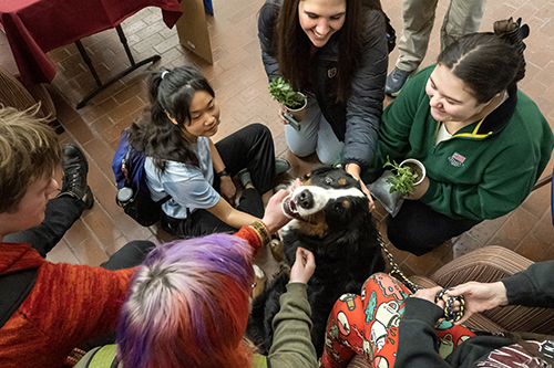 Students pet a dog during UM's Stress Less Days.