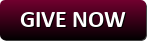 Give Now Button