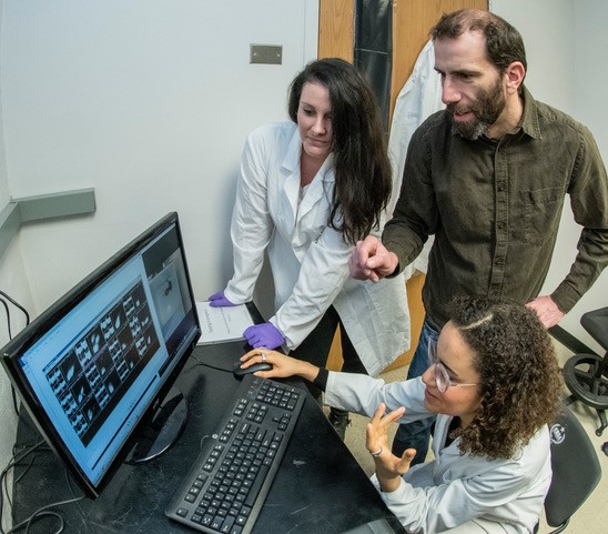 Neuroscientist and psychology professor Nathan Insel and students analyzing electrophysiological recordings.